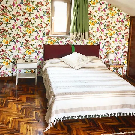 Turistico Vigna Clara 民宿